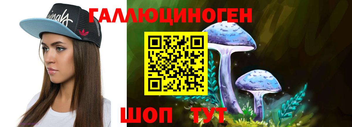 Полевской  Псилоцибиновые грибы мухоморы  Вход с VPN 